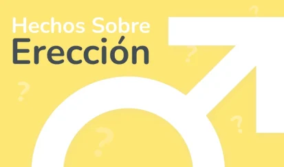 Una erección de calidad
