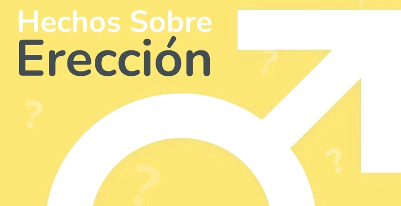 Una erección de calidad
